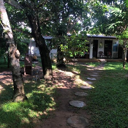 Sylvester Villa Hostel Negombo Dış mekan fotoğraf