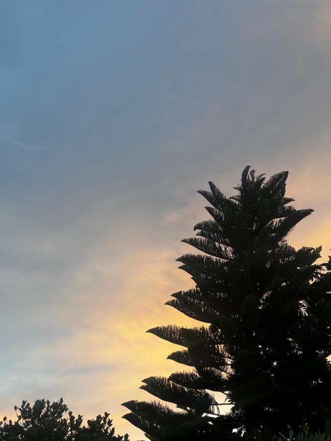 Sylvester Villa Hostel Negombo Dış mekan fotoğraf