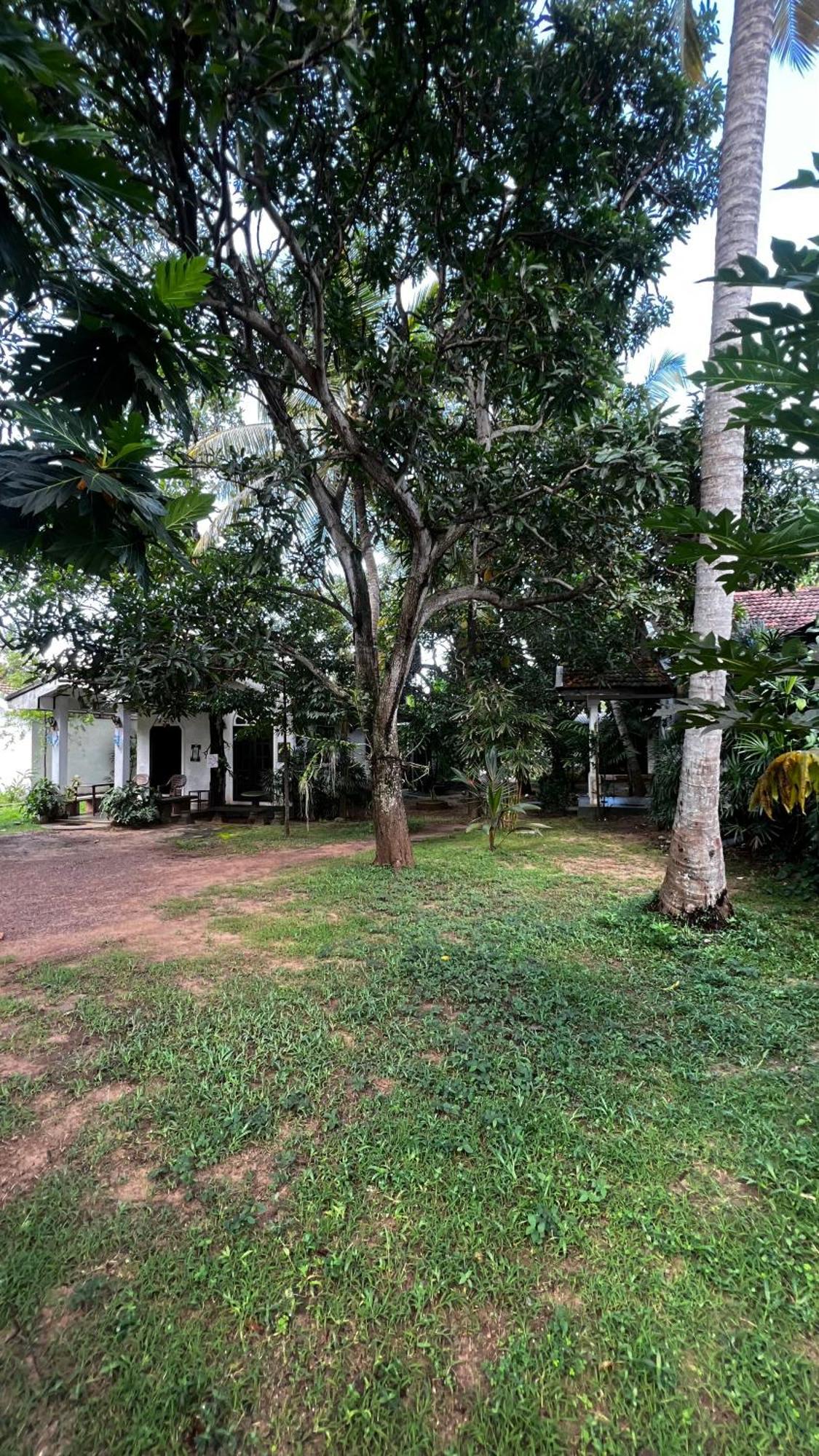 Sylvester Villa Hostel Negombo Dış mekan fotoğraf