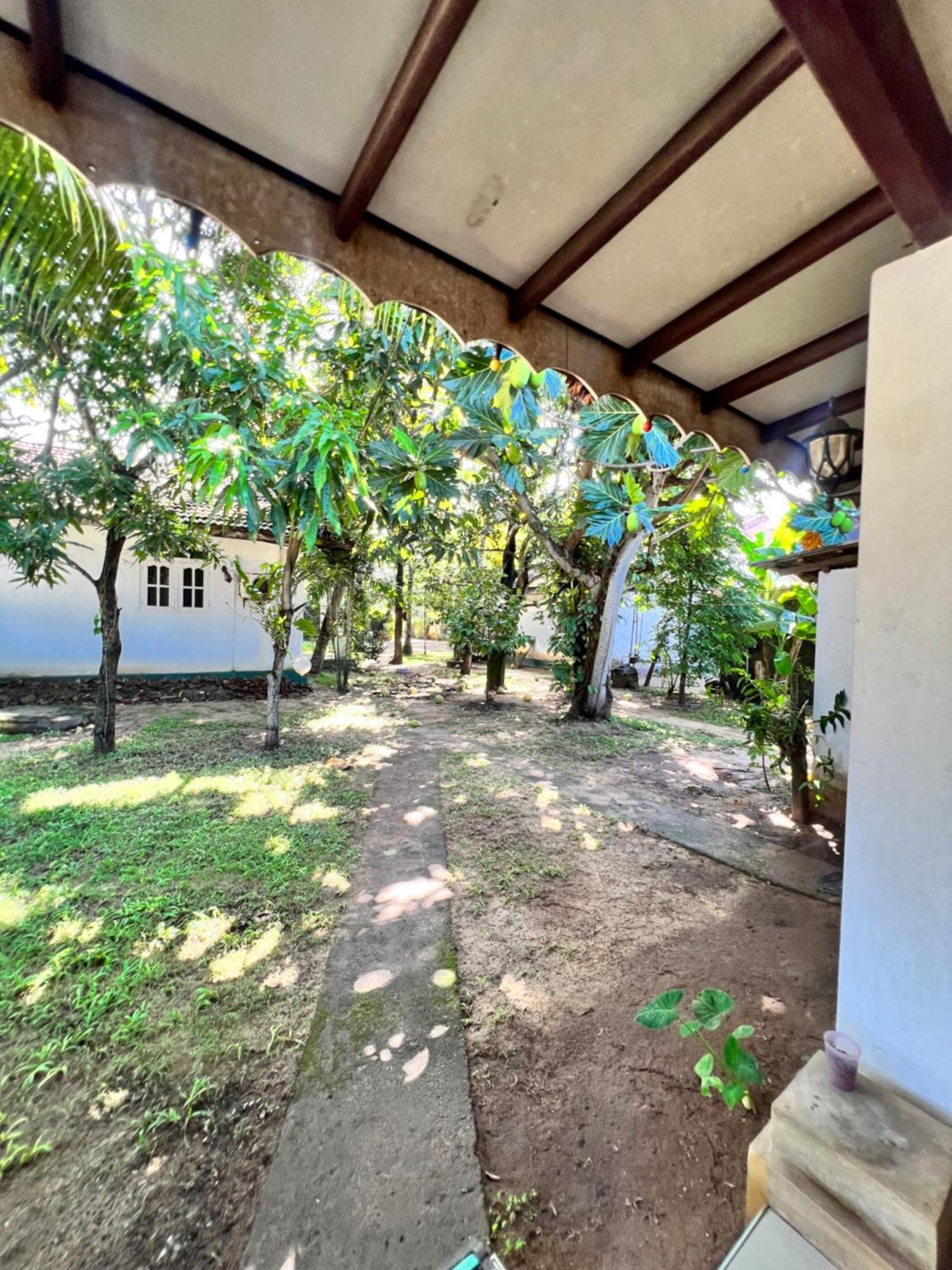 Sylvester Villa Hostel Negombo Dış mekan fotoğraf